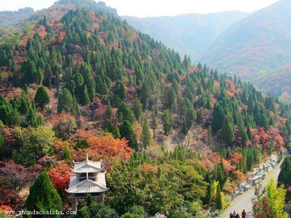 太倉廠房拆除施工隊